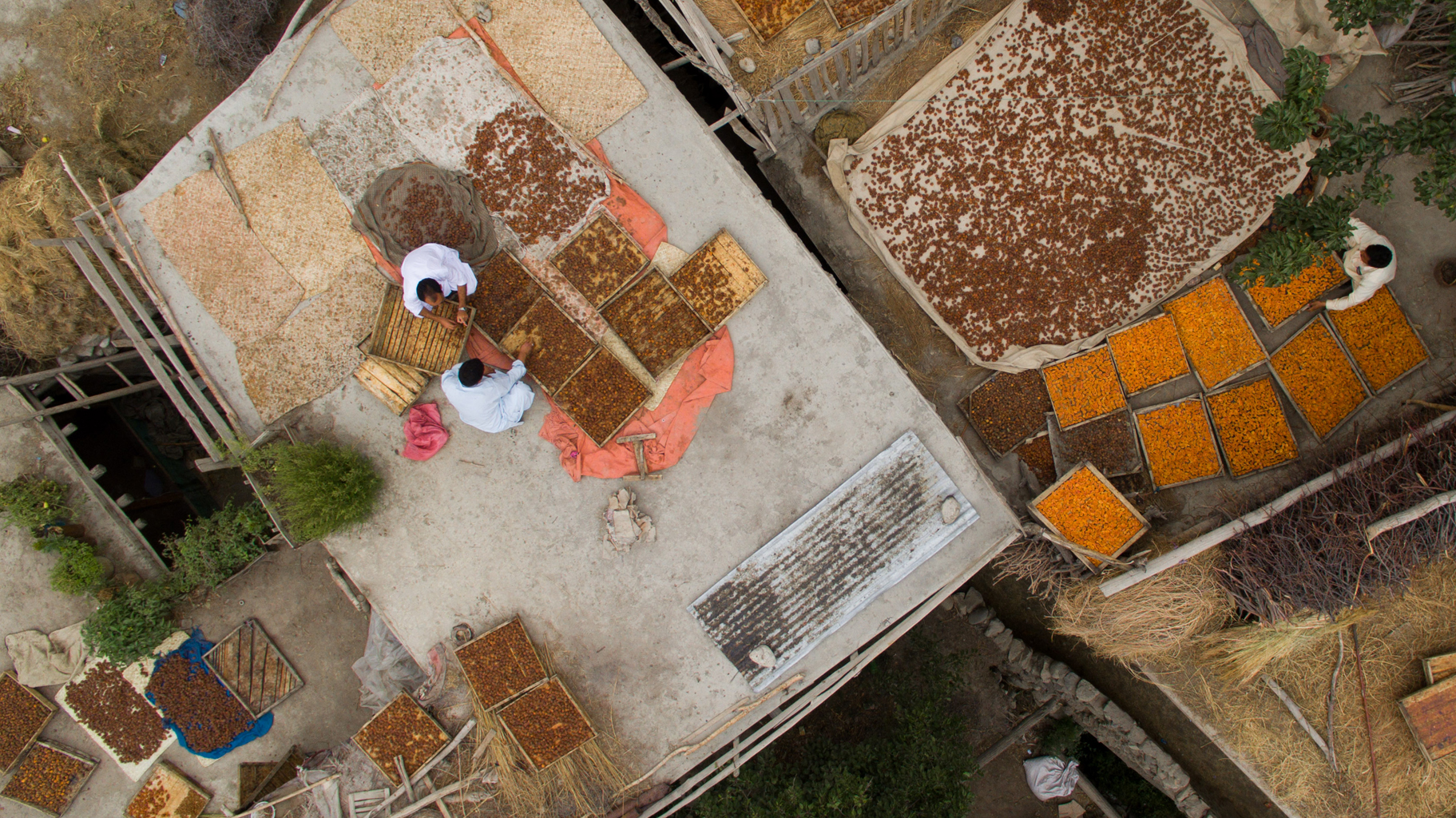 Aerial view of ILD programme area ΓÇö newly levelled and irrigated terraces in GB