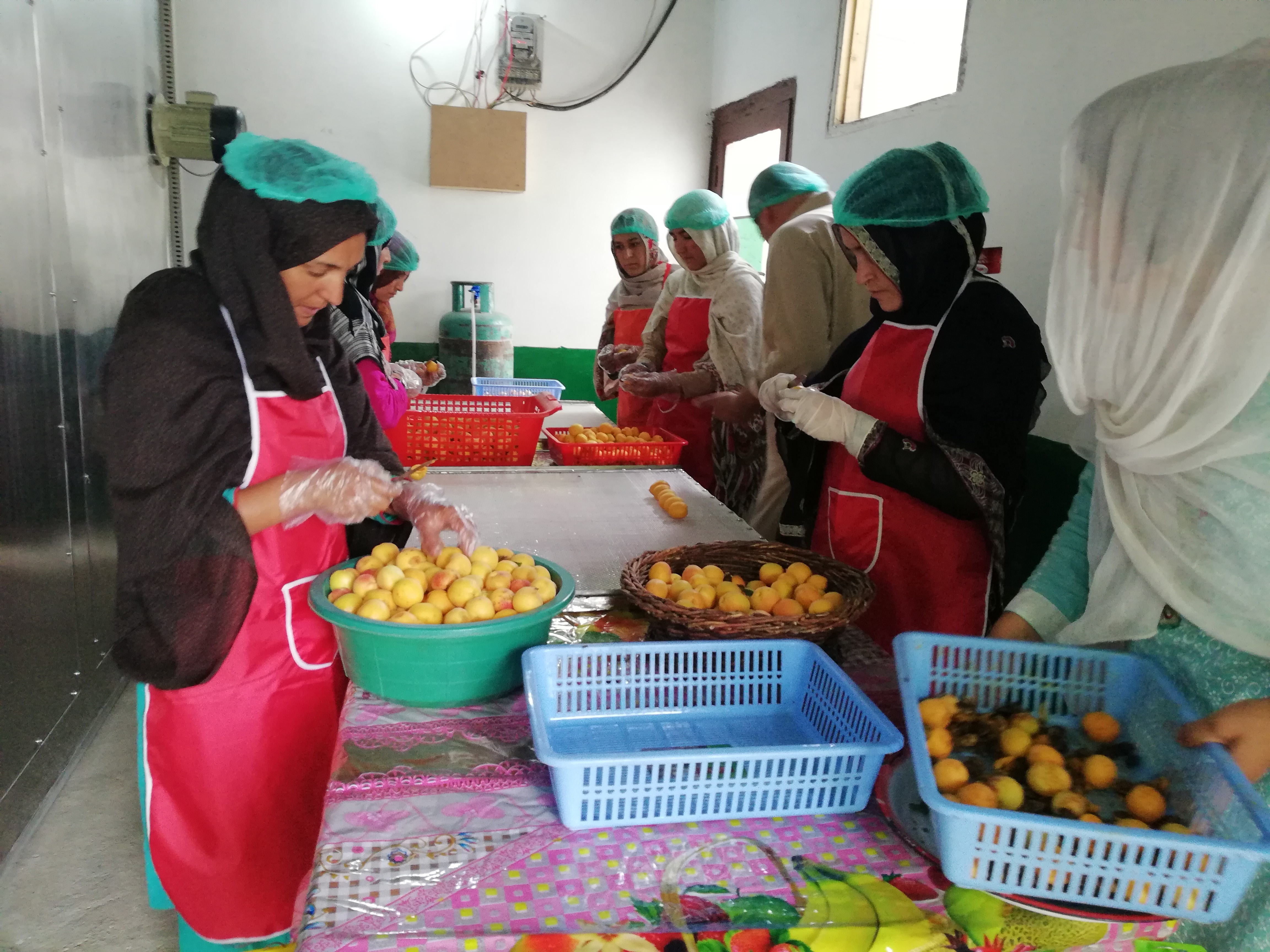 Apricot processing training for women in Hunza/Nagar ΓÇö value chain skills development, 2018